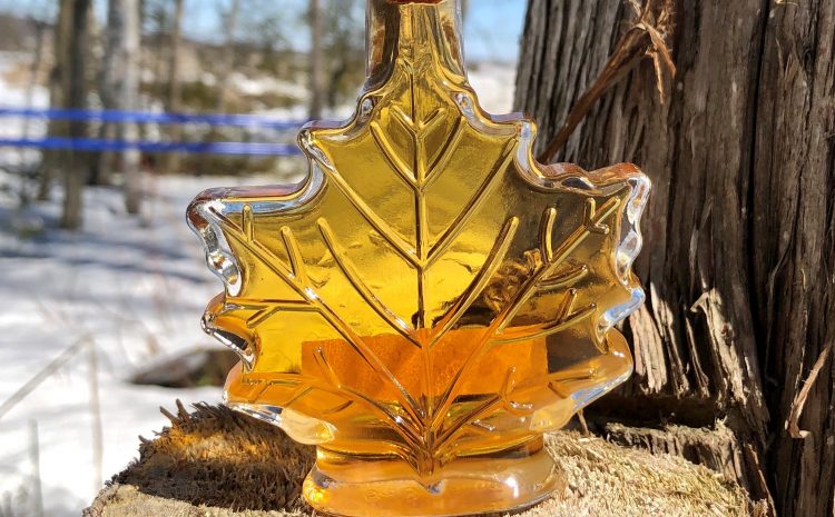  Érabliere Brix et compagnie